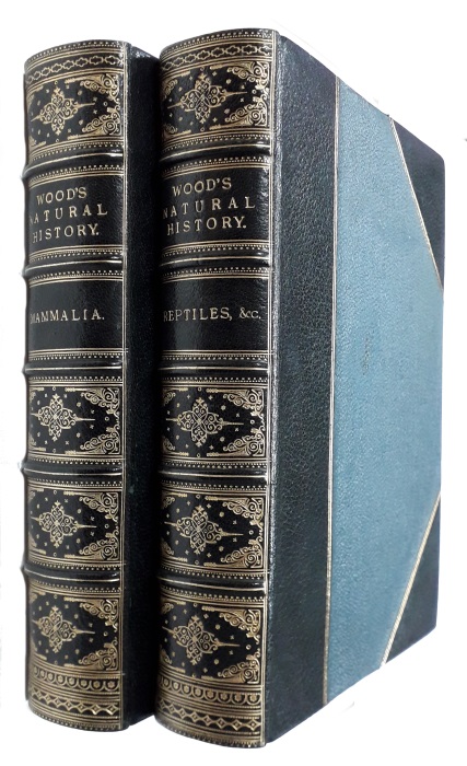 Wood, J.G. - The Illustrated Natural History: Mammalia & Reptiles, Fishes, Molluscs