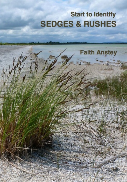 Anstey, F. - Start to Identify Sedges & Rushes