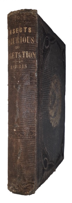 Harris, Thaddeus William - Treatise on some of the Insects Injurious to Vegetation