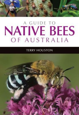 Houston, T. - A Guide to Native Bees of Australia