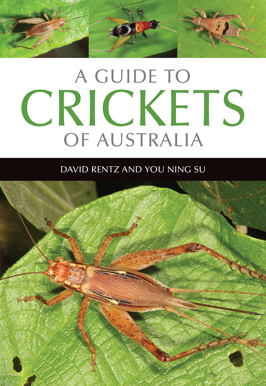 Rentz, D.; Su, You Ning - A Guide to Crickets of Australia