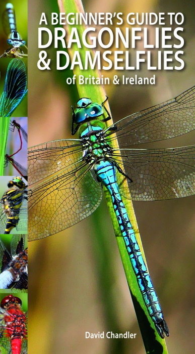 Chandler, D. - A Beginner's Guide to Dragonflies & Damselflies of Britain & Ireland