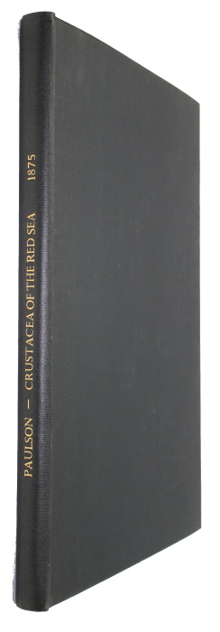 Paul'son, O. - Izsledovaniya Rakoobraznykh Krasnago Morya. Chast' I. Podophthalmata i Edriophthalmata (Cumacea) [Studies on Crustacea of the Red Sea with notes regarding other seas. Part 1]