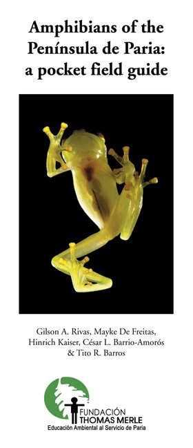 Rivas, G.A.; De Freitas, M.; Kaiser, H.; Barrio-Amoros, C.L.; Barros, T.R. - Amphibians of the Pennsula de Paria: A pocket field guide