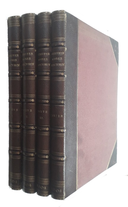 Schaeffer, J.C.; Panzer, G.W.F. - Icones Insectorum Ratisbonensium Methodo Systematica Illustratae et Indice Systematico Auctae. Vol. I-III [and] Iconum Insectorum circa Ratisbonam Indigenorum Enumeratio Systematica Opera et Studio