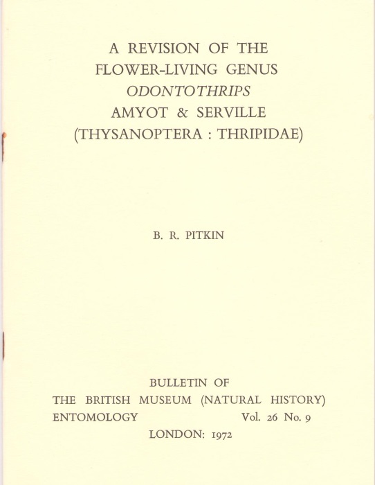 Pitkin, B.R. - A Revision of the flower-living genus Odontothrips Amyot & Serville (Thysanoptera: Thripidae)