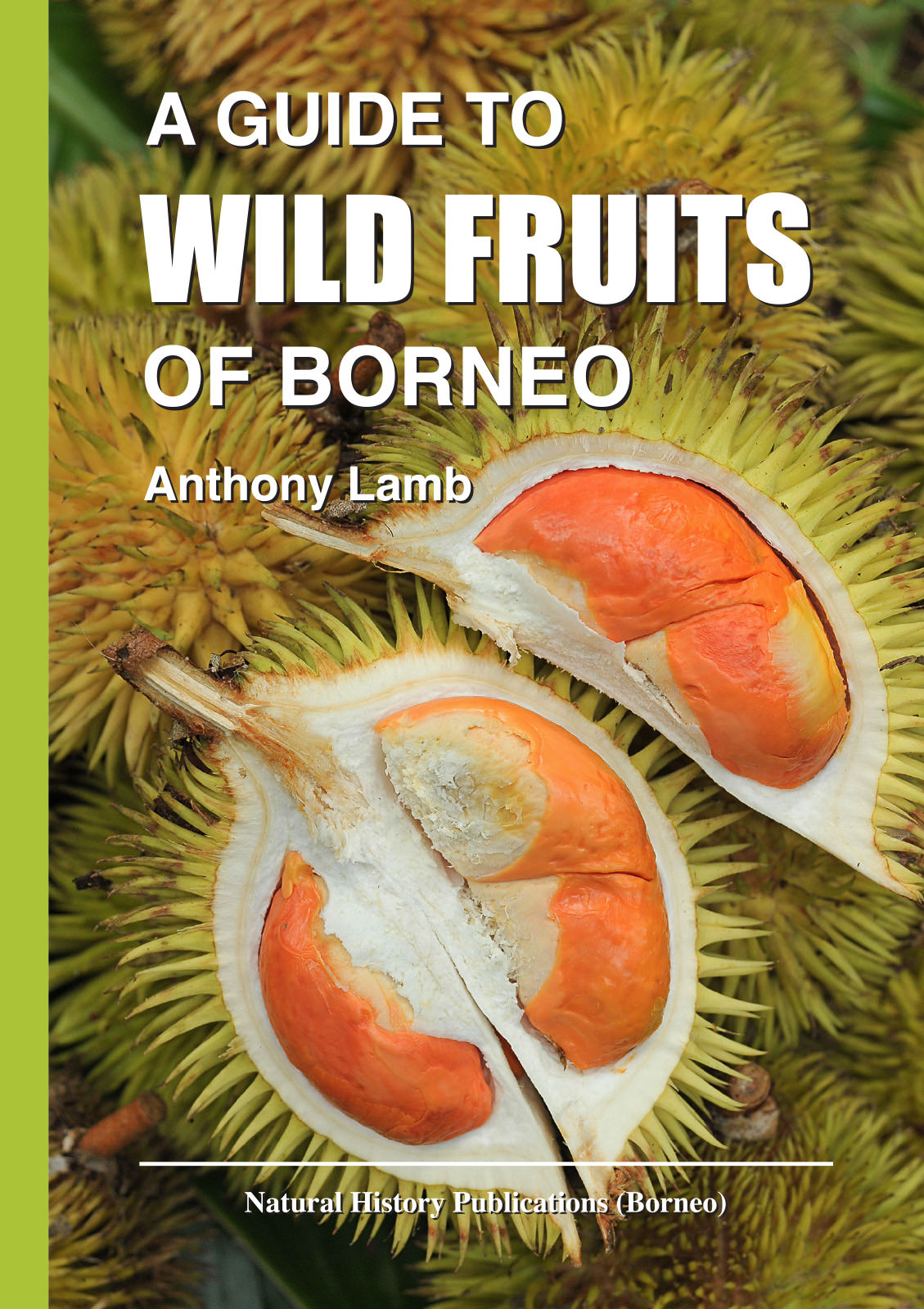 Lamb, A. - Guide to Wild Fruits of Borneo