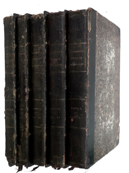 Stephens, J.F. - Illustrations of British Entomology. Mandibulata. Vols I-V