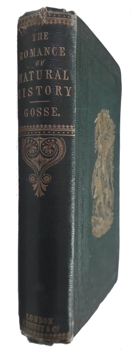 Gosse, P.H. - The Romance of Natural History. [First Series]