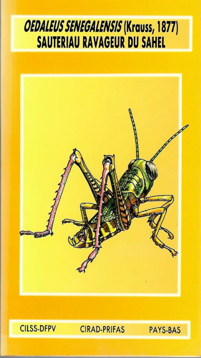 Launois, M.; Launois-Luong, M.H. - Oedaleus senegalensis (Krauss, 1877) Sauteriau ravageur du Sahel