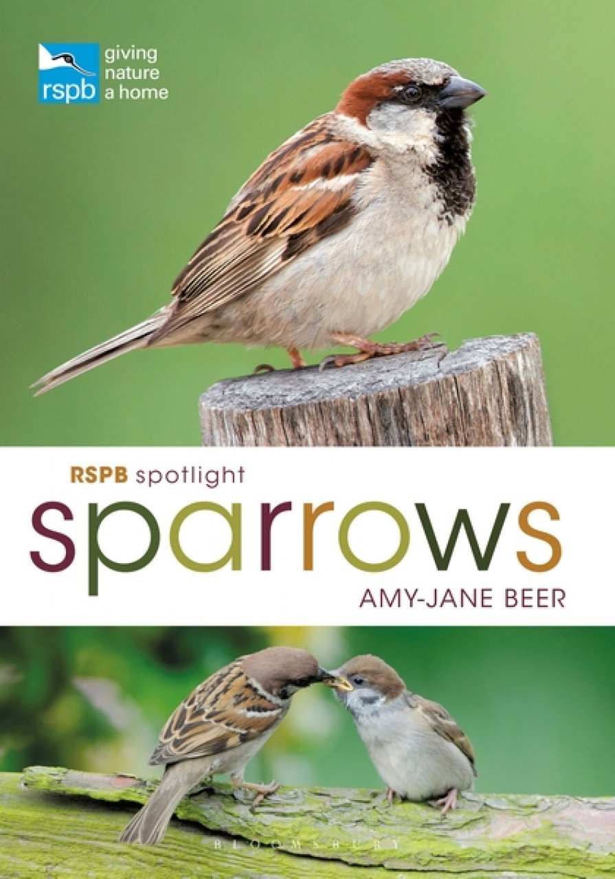 Beer, A-J. - RSPB Spotlight Sparrows