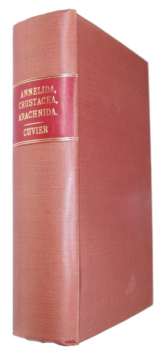 Cuvier, Georges; Griffith, E.; Pidgeon, E. - The Animal Kingdom arranged in comformity with its organization, by the Baron Cuvier, with Supplementary Additioins to each Order. Vol. 13: The Classes Annelida, Crustacea, and Arachnida