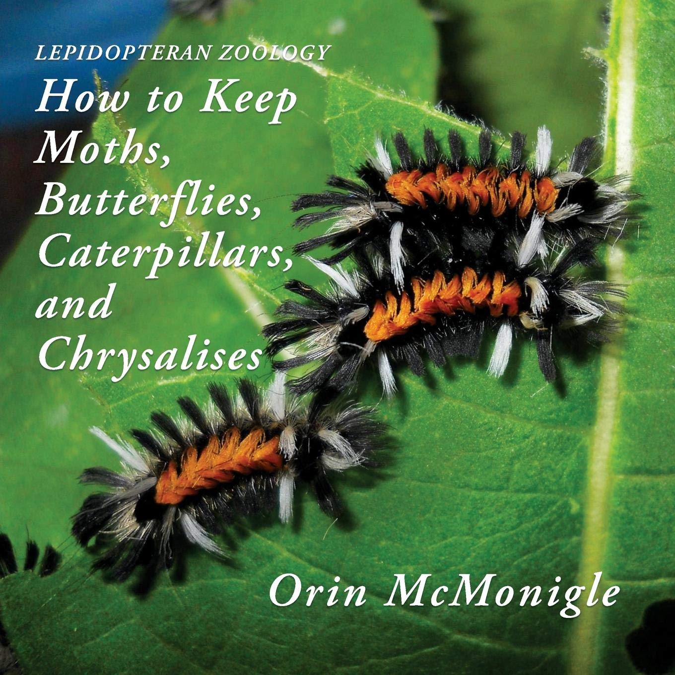 McMonigle, O. - Lepidopteran Zoology: How to Keep Moths, Butterflies, Caterpillars, and Chrysalises