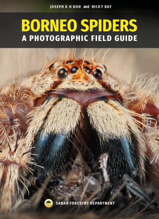 Koh, J.K.H.; Bay, N. - Borneo Spiders: A Photographic Field Guide