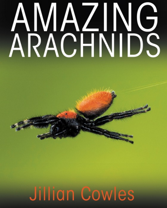 Cowles, J. - Amazing Arachnids
