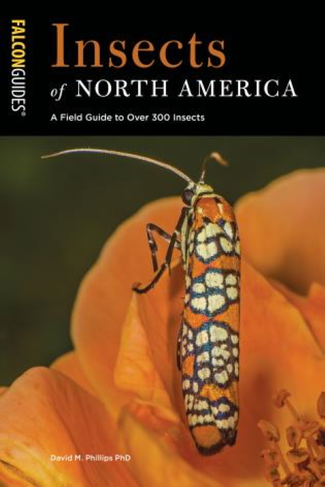 Phillips, D.M. - Insects of North America: A Field Guide to Over 300 Insects