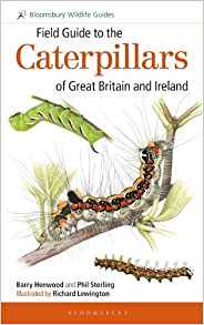Henwood, B.; Sterling, P.; Lewington, R. (Illus) - Field Guide to the Caterpillars of Great Britain and Ireland
