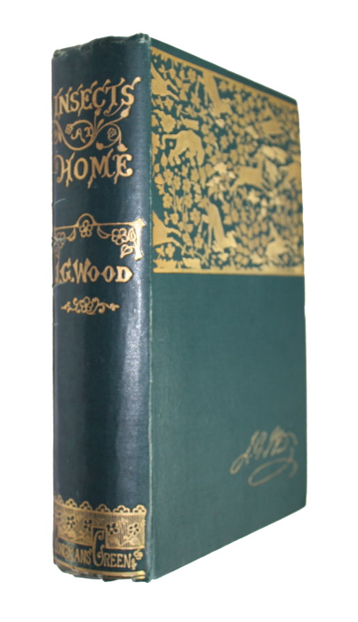 Wood, J.G. - Insects at Home: Being a Popular Account of British Insects, Their Structure, Habits, and Transformations