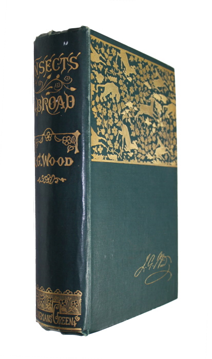 Wood, J.G. - Insects Abroad:  being a popular account of Foreign Insects, their Structure, Habits and Transformations