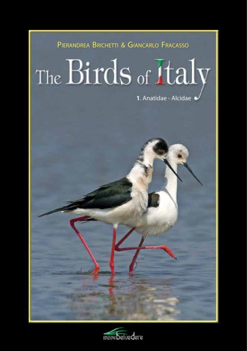 Brichetti, P.; Fracasso, G. - The Birds of Italy 1: Anatidae-Alcidae