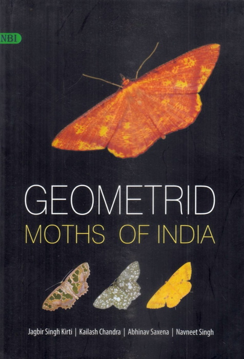 Kirti, J.S.; Singh, N.; Chandra, K.; Saxena, A. - Geometrid Moths of India