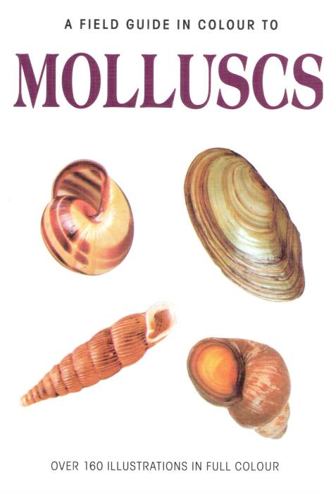 Pfleger, V. - A Field Guide in colour to Molluscs