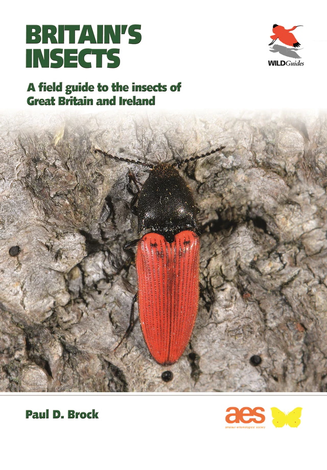 Brock, P.D. - Britain's Insects: A field guide to the insects of Great Britain and Ireland