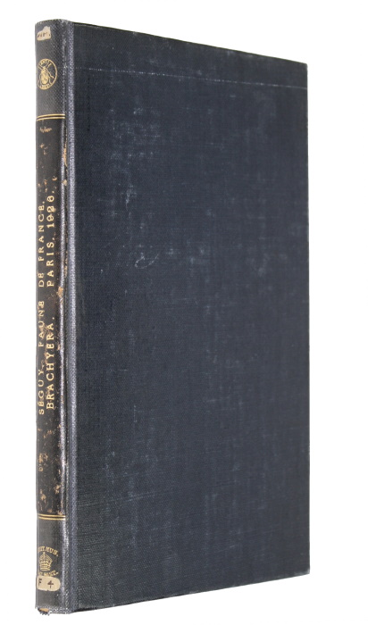 Seguy, E. - Diptres (Brachycres): (Stratiomyiidae, Erinnidae, Coenomyiidae, Rhagionidae, Tabanidae, Codidae, Nemestrinidae, Mydaidae, Bombyliidae, Therevidae, Omphralidae) Faune de France 13