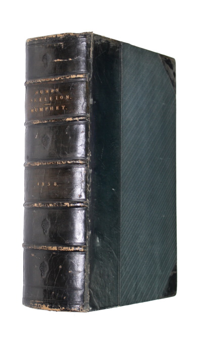 Humphry, George Murray - A Treatise on the Human Skeleton (Including the Joints)