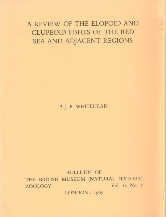 Whitehead, P.J.P. - A Review of the Elopoid and Clupeoid Fishes of the Red Sea and adjacent regions