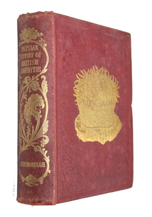 Landsborough, D. - A Popular History of British Zoophytes or Corallines
