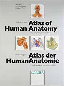 Frick, H.; Kummer, B.; Putz, R. - Wolf-Heidegger's Atlas of Human Anatomy / Wolf-Heidegger's Atlas der HumanAnatomie