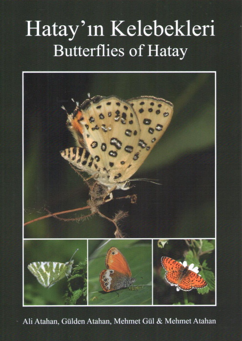 Atahan, A.; Atahan, G.; Gl, M.; Atahan, M. - Butterflies of Hatay Hatay'in Kelebekleri