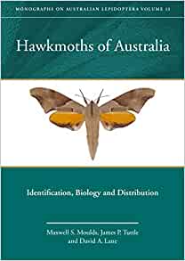 Moulds, M.; Tuttle, J.; Lane, D. - Hawkmoths of Australia: Identification, Biology and Distribution