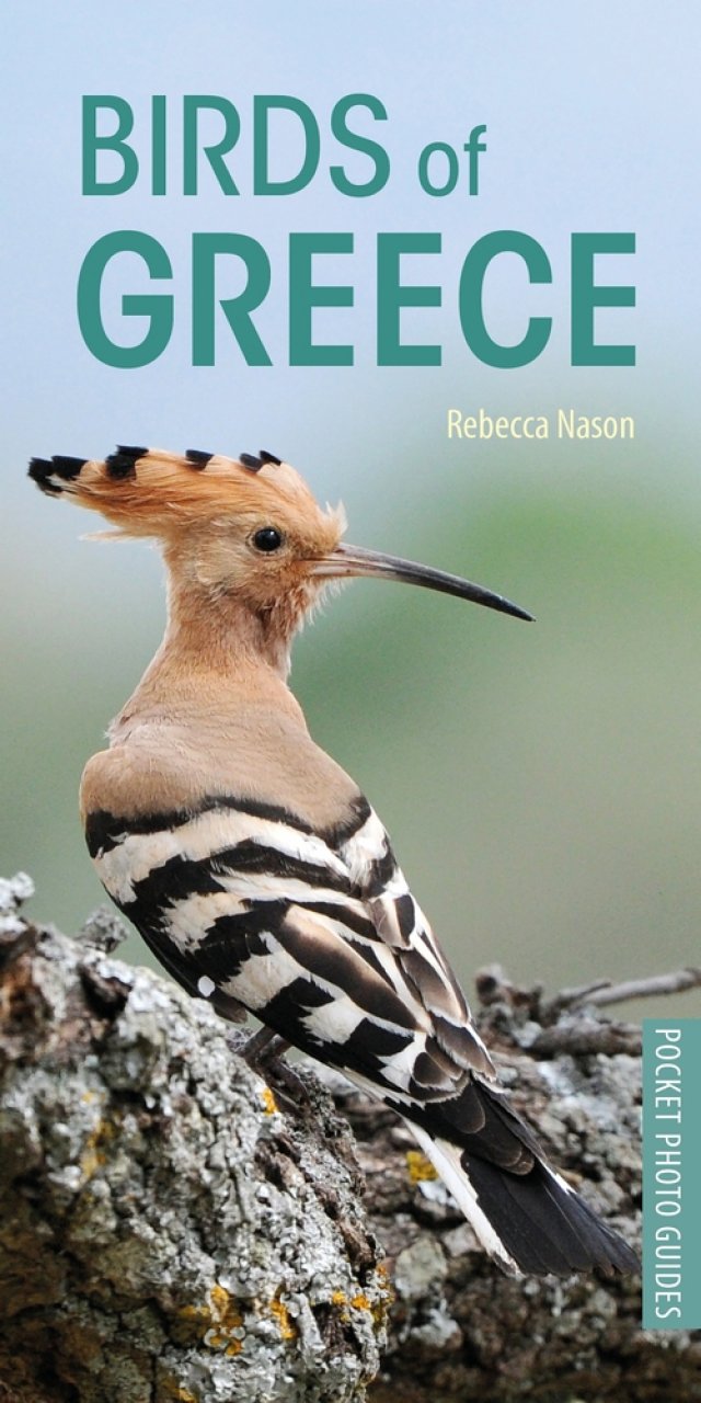 Nason, R. - Birds of Greece