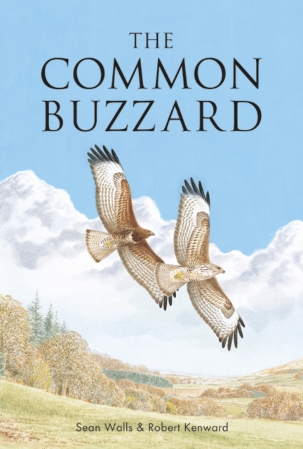 Walls, S.; Kenward, R.; Harris, A. - The Common Buzzard