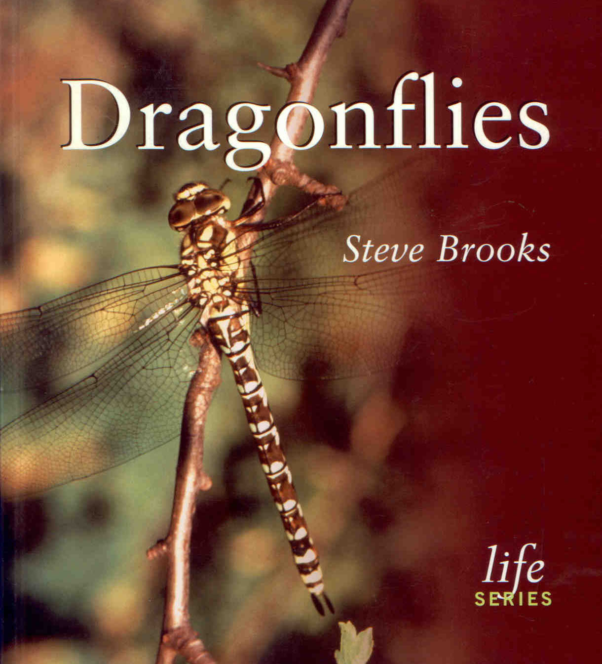 Brooks, S. - Dragonflies