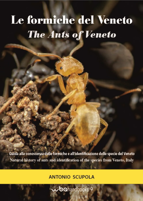 Scupola, A. - Le Formiche del Veneto - The Ants of Veneto
