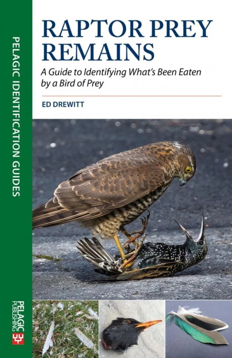 Drewitt, E. - Raptor Prey Remains: A Guide to Identifying What's Been Eaten by a Bird of Prey
