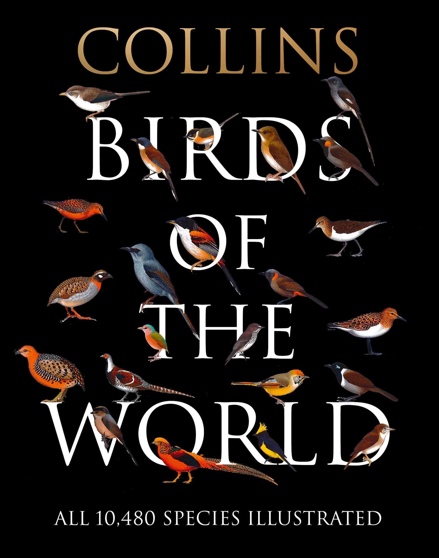 Arlott, N.; van Perlo, B.; Erize, F.; Rodriguez Mata, J.R. - Collins Birds of the World: All 10,480 Species Illustrated