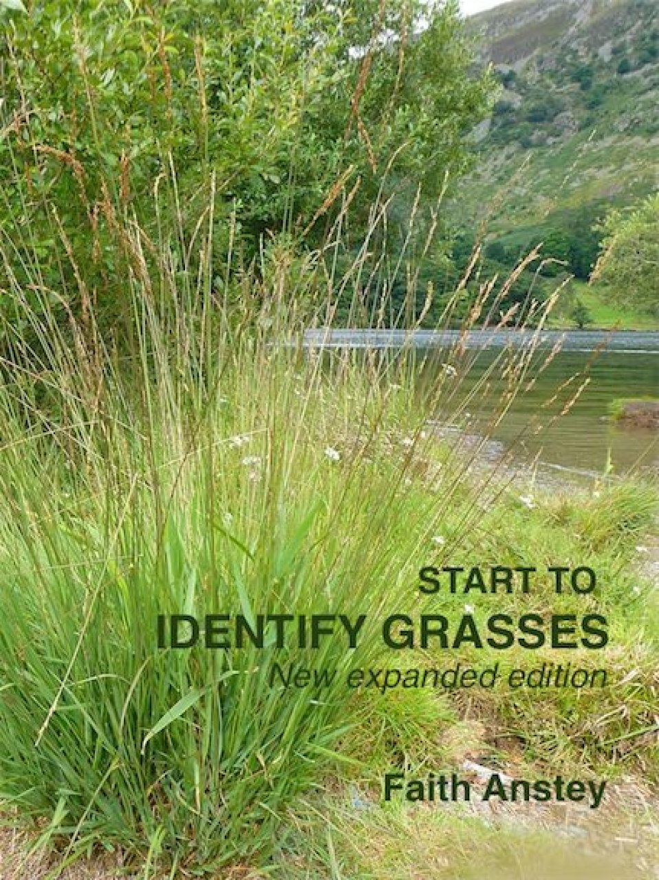 Anstey, F. - Start to Identify Grasses