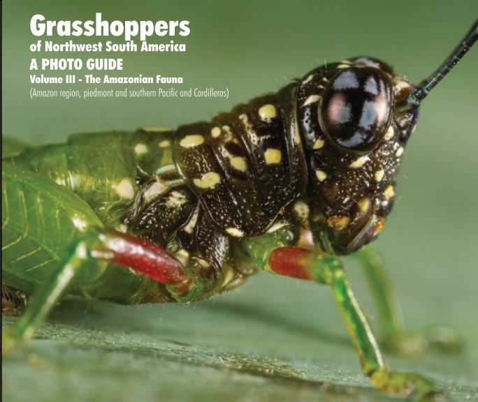 Cardona, J.M. - Grasshoppers of Northwest South America. A Photo Guide. Vol. 3: The Amazonian Fauna