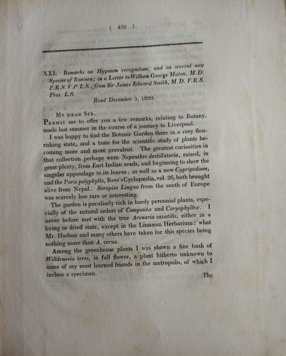 Smith, J.E. - Remarks on Hypnum recognitum, and on several new Species of Roscoea; in a Letter to William George Maton, M.D. F.R.S.V.P.L.S., from Sir James Edward Smith, M.D. F.R.S Pres. L.S.