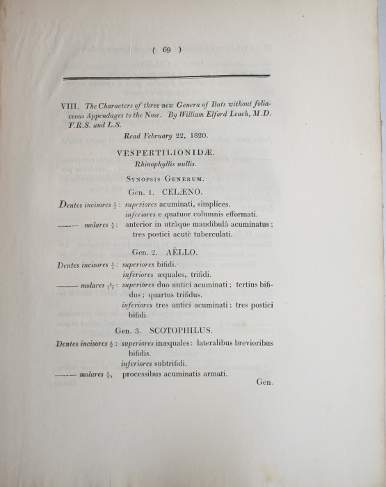 Leach, William Elford [1790-1836] - The Characters of three new Genera of Bats without foliaceous Appendages to the nose