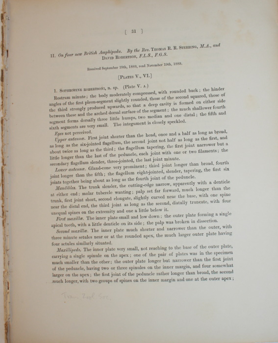 Stebbing, T.R.R.; Robertson, D. - On Four New British Amphipoda