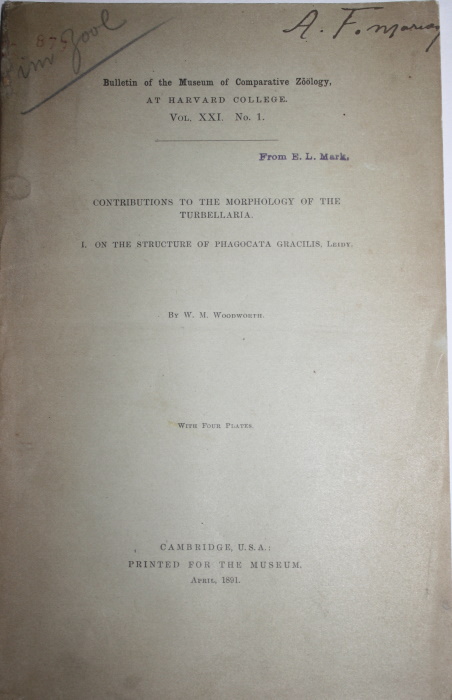 Woodworth, W.M. - Contributions to the Morphology of the Turbellaria. I. On the Structure of Phagocata gracilis, Leidy