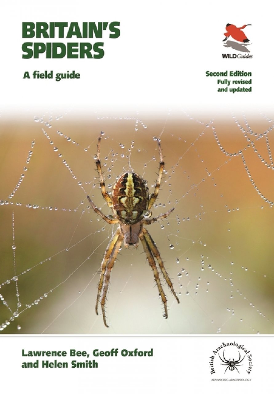 Bee, L.; Oxford, G.; Smith, H. - Britain's Spiders: A Field Guide
