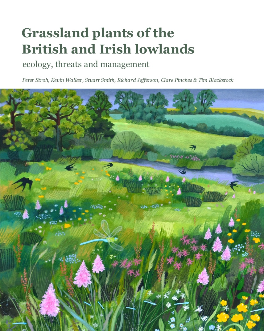 Pinches, C.; Blackstock, T.; Walker, K.; Stroh, P.; Jefferson, R.; Smith, S. - Grassland Plants of the British and Irish Lowlands: ecology, threats and management