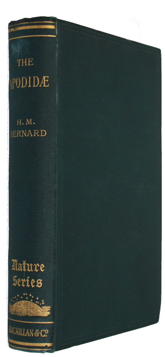 Bernard, H.M. - The Apodidae: A Morphological Study