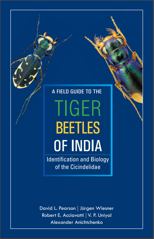 Pearson, D.L.; Wiesner, J.; Acciavatti, R.E.; Uniyal, V.P.; Anichtchenko, A. - A Field Guide to the Tiger Beetles of India: Identification and Biology of the Cicindelidae
